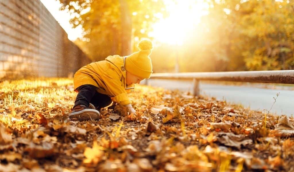 Child in yellow hat and coat searching through autumn leaves. Autumn family trails at Summer Leys Nature Reserve. Northants Families