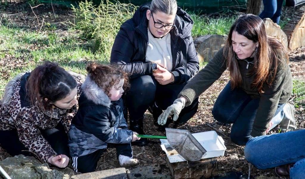 A group of adults and young children kneel by a small outdoor pond, using nets to scoop and examine water.