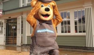 Wicksteed Park mascot Wicky the bear splashing in a puddle outside the park entrance
