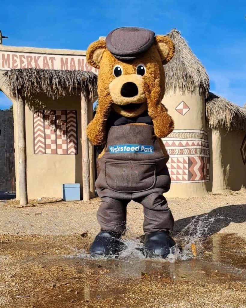Wicksteed Park mascot Wicky the bear standing in a puddle outside Meerkat Manor on a sunny day