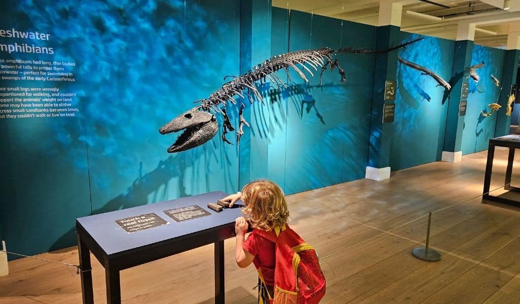 Underwater dinosaur skeleton hanging from museum wall with lighting that creates a water effect