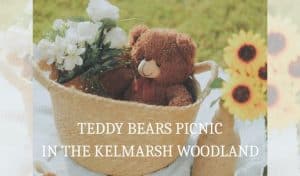Teddy bear in a wicker basket with sunflowers — Teddy Bears Picnic in the Kelmarsh Woodland