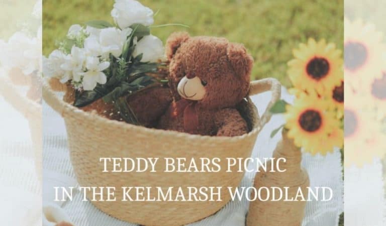 Teddy bear in a wicker basket with sunflowers — Teddy Bears Picnic in the Kelmarsh Woodland