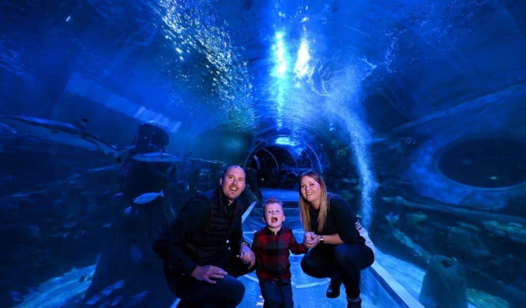 father, mother and son in tunnel at sealife birtmingham
