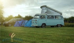 A camper van, two blue tents and a black car parked in a row in a field with the sun setting in the background
