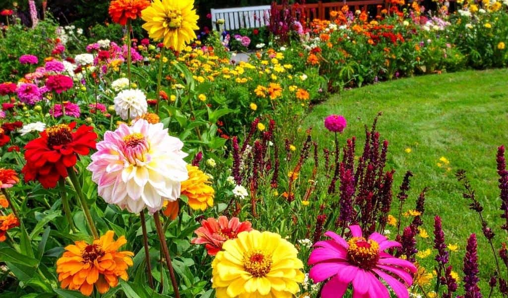 National Garden Scheme Northampton