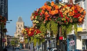 Colourful hanging baskets on lamp posts along Northampton town centre high street in summer sunshine