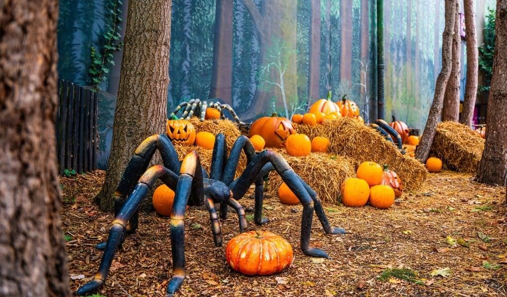 Giant spider amongst pumpkins in a dark forest
