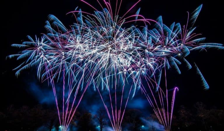 Purple and white fireworks bursting over a dark park with silhouetted trees and a crowd watching from the grass below.