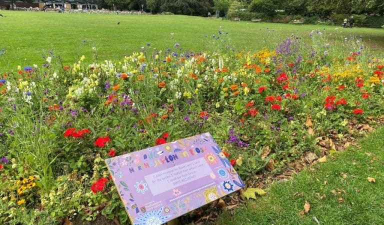 Colourful summer flower bed in Abington Park, Northampton, with a purple Northampton in Bloom Wellness Walk sign in the foreground and the Park Cafe in the background
