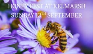 Honey Fest at Kelmarsh event poster with purple asters and a honeybee, text reading Honey Fest at Kelmarsh, Sunday 13th September