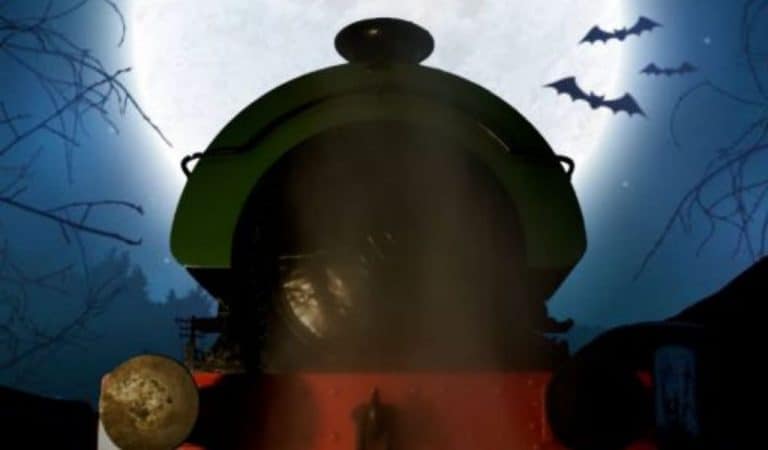 The front of a green and red train set against a spooky dark night sky with branches and bats to the sides