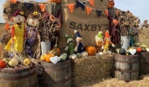 Autumn display of scarecrows, pumpkins and hay bales in front of a rustic Saxby's sign, decorated with orange and black bunting for pumpkin picking season