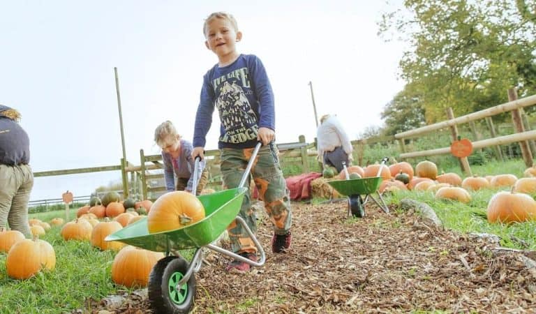 A young boy with a green wheelbarrow containing a pumpkin