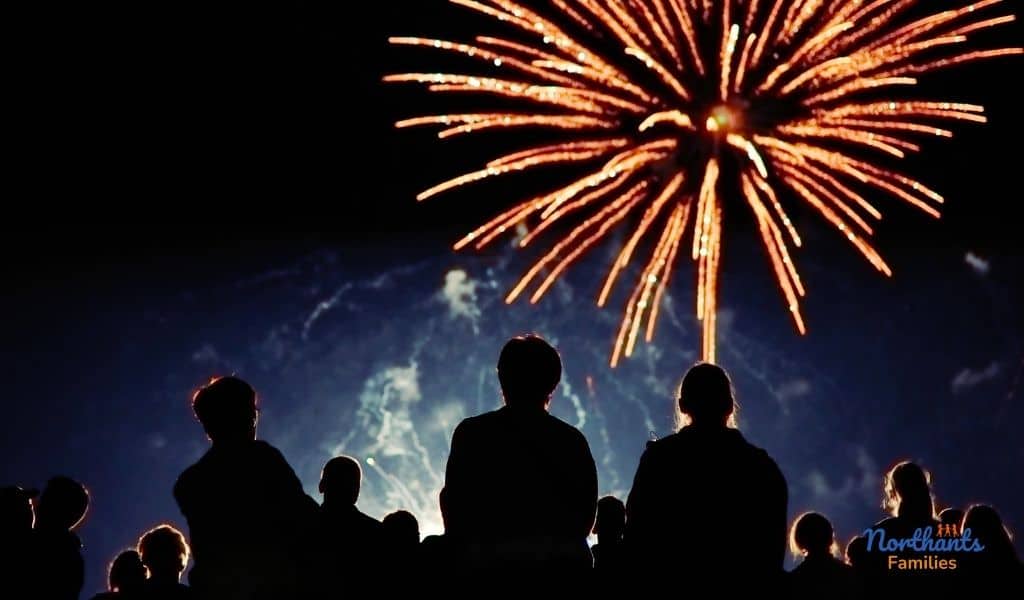A firework going off in front of a crowd of people